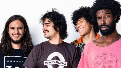 boogarins